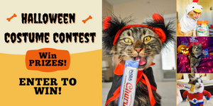 ENTER TO WIN! Halloween Costume Contest!
